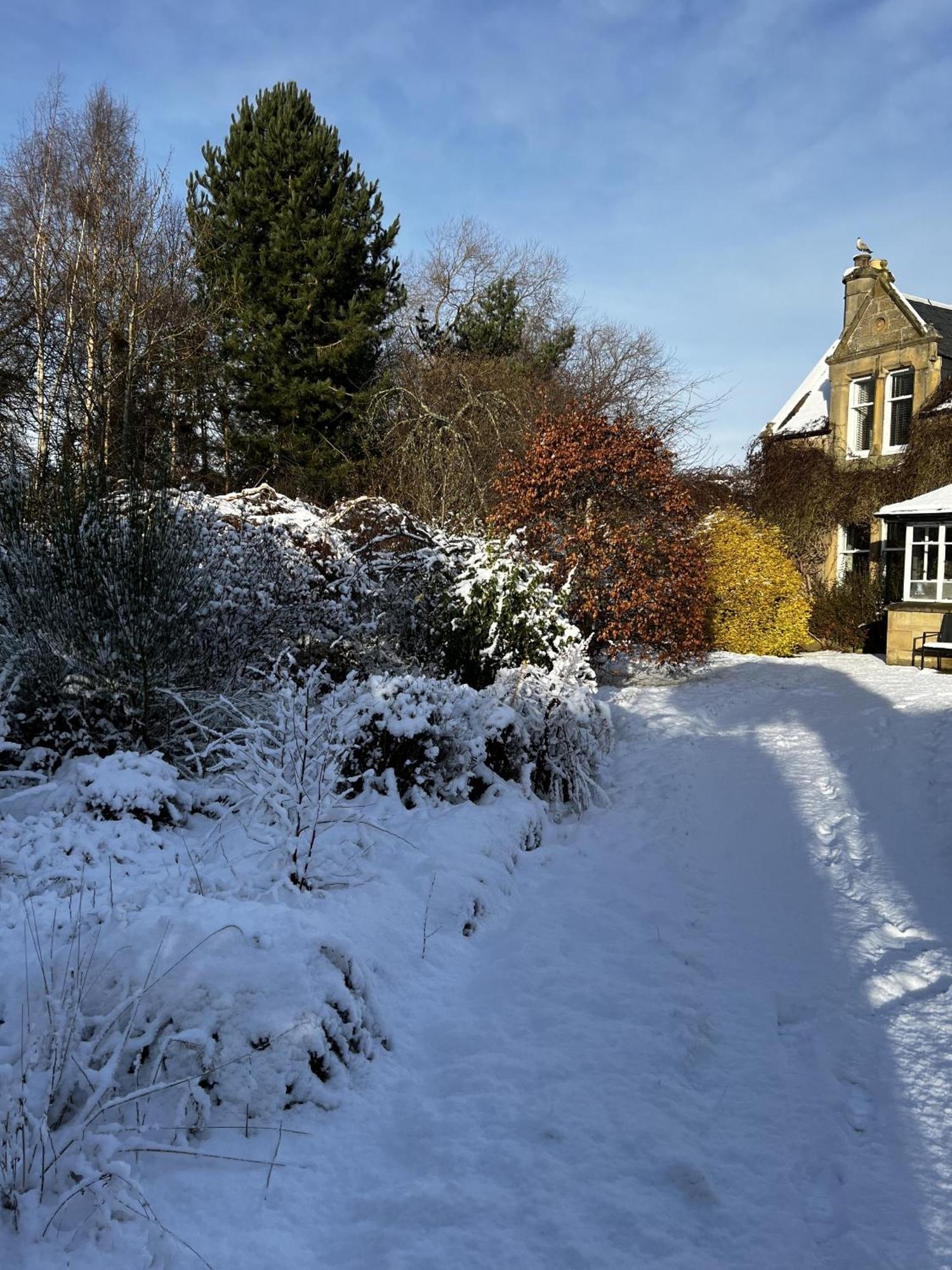 St Duthus Villa Guesthouse Tain Buitenkant foto