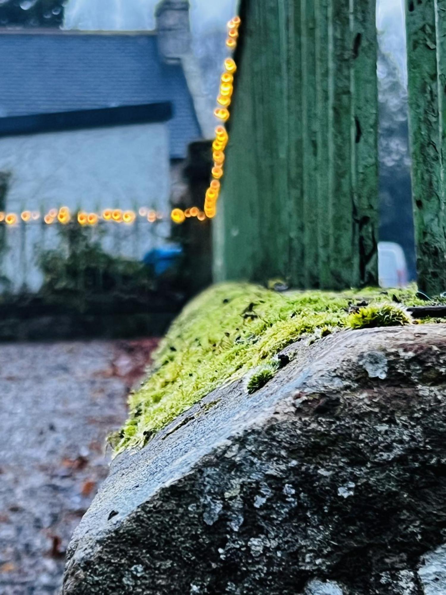 St Duthus Villa Guesthouse Tain Buitenkant foto